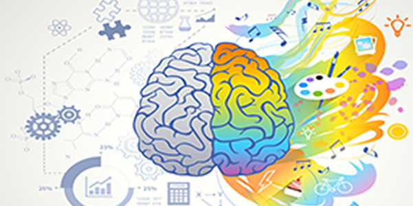 We Map your Inborn Strengths and Skills